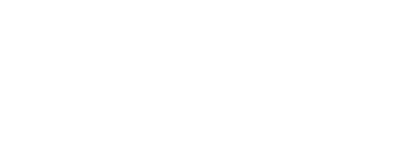 Caes Academy